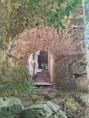/album/27-septembre-les-berges-de-lherault/v-13-jpg/
